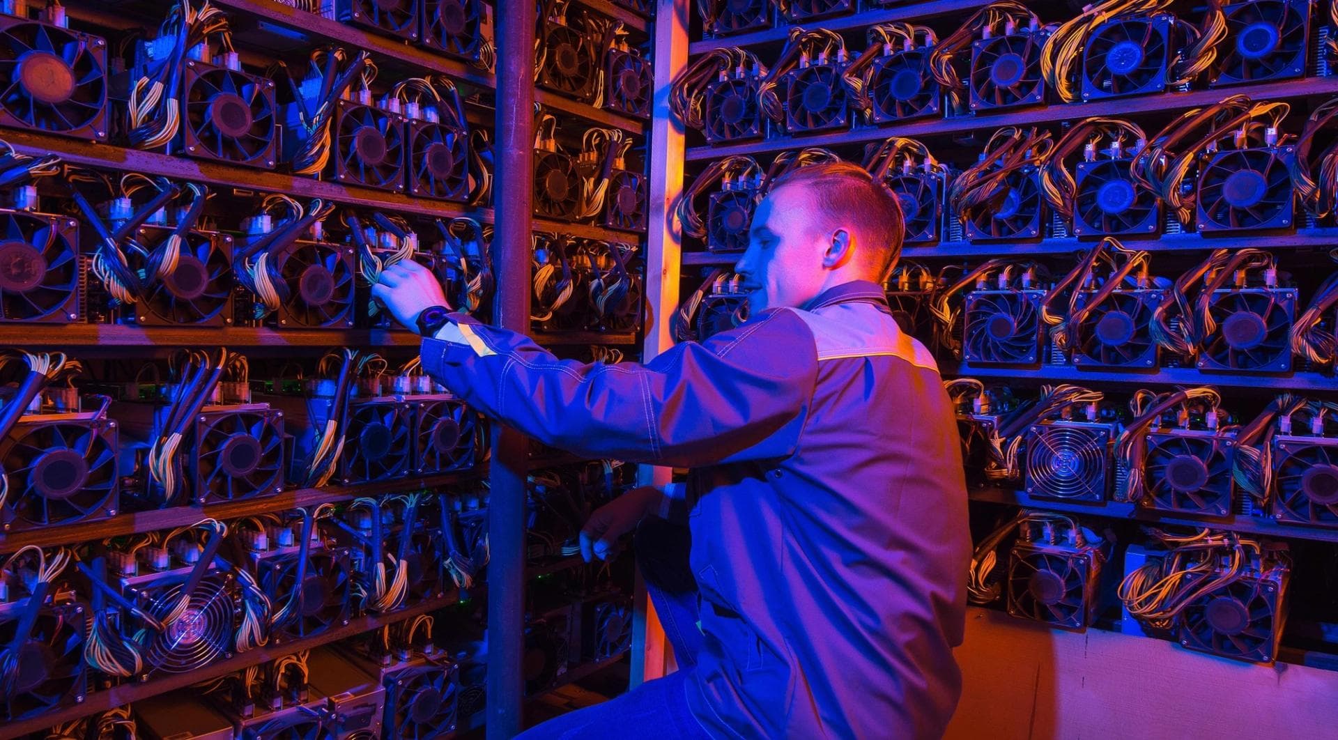 Bitcoin miner TeraWulf soars on a $19 billion AI data-center lease with Anthropic