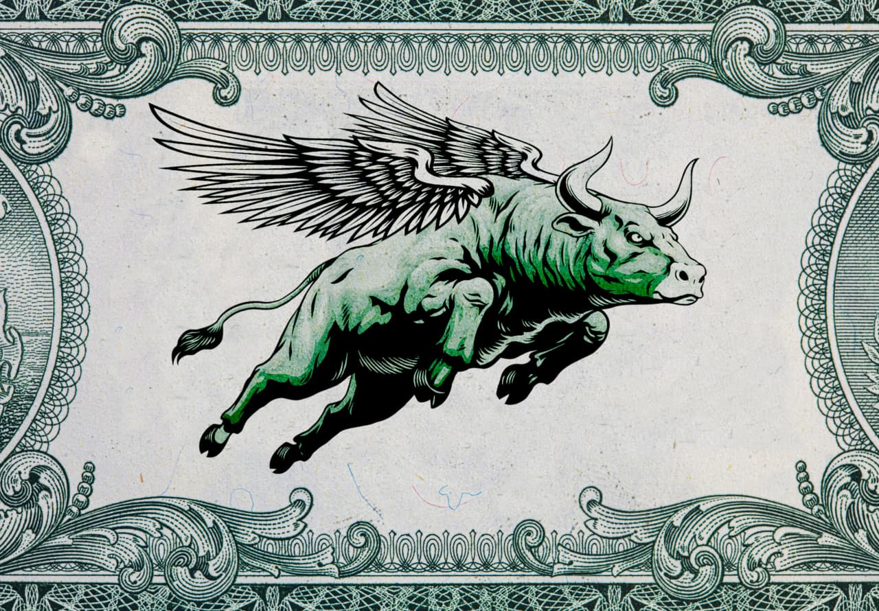 The U.S. stock market is becoming ‘too big to fail’