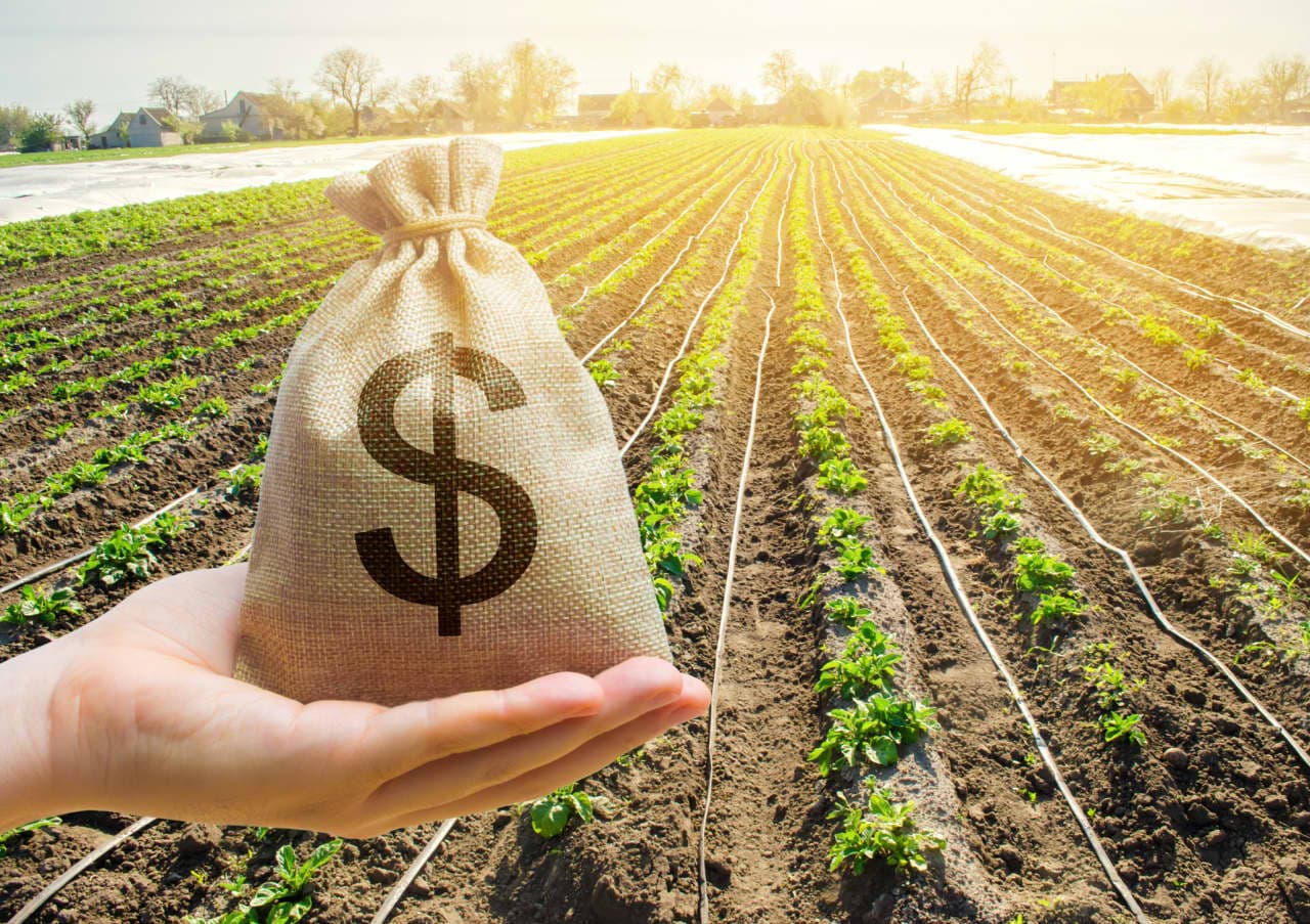 Farmers are already set for a $55 billion payday — why does Washington want to give them even more?