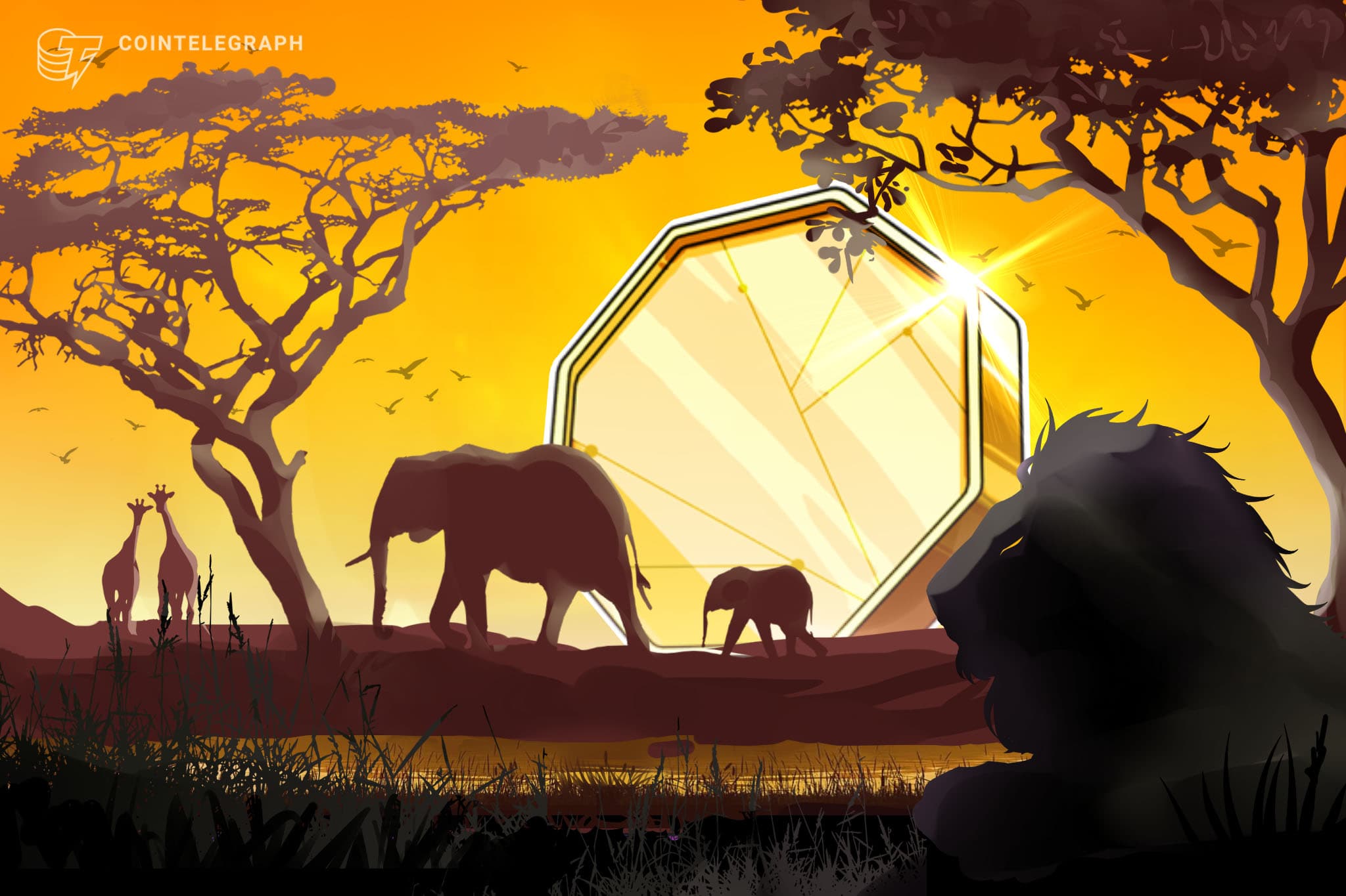 Zimbabwe admits seven fintech projects to regulatory sandbox