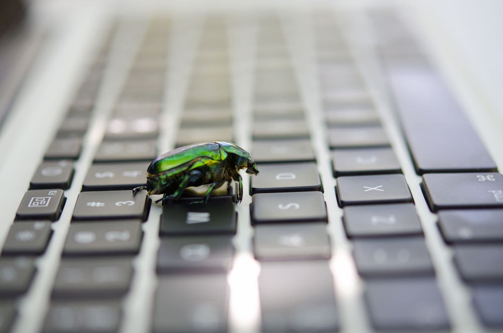 Bitcoin developers flag 85 critical bugs in an "extremely bad" situation