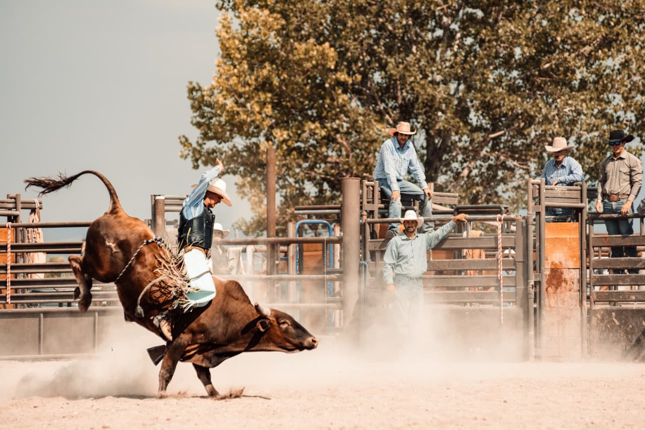 The bull market got a new lease on life — can it last?