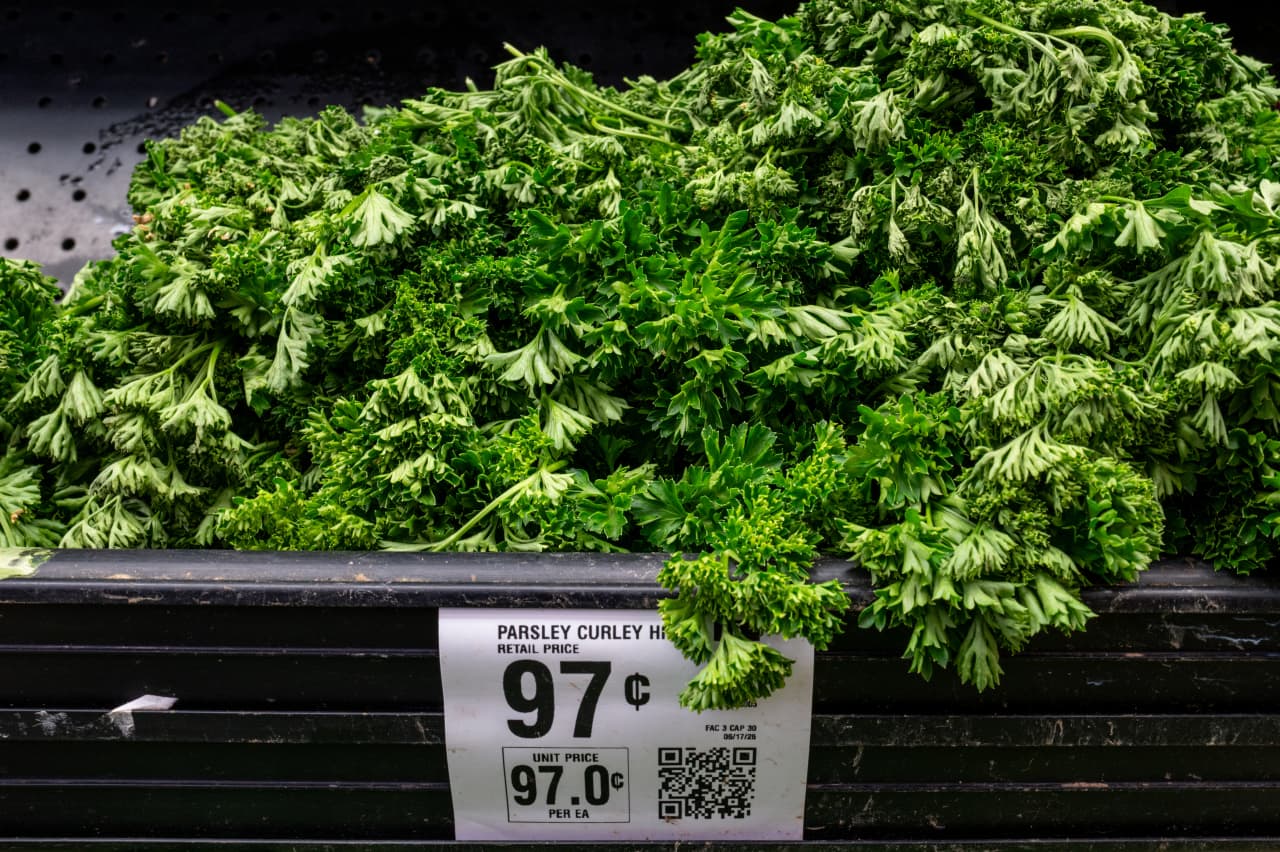 The cyclospora outbreak is the biggest ever. Why this ‘unusual’ outbreak is so hard to manage.