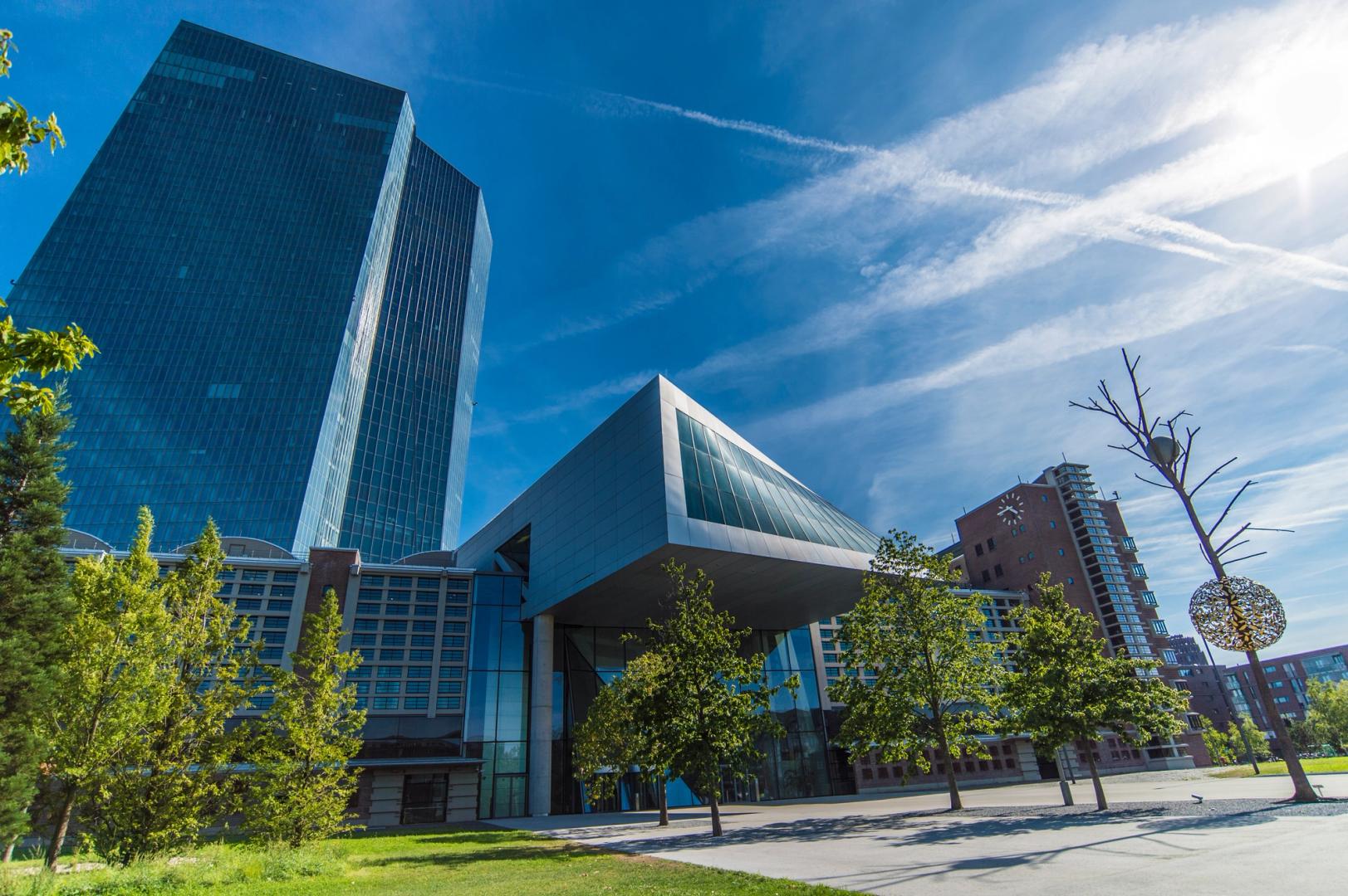 ECB picks firms including Deutsche Bank, Revolut for digital euro pilot