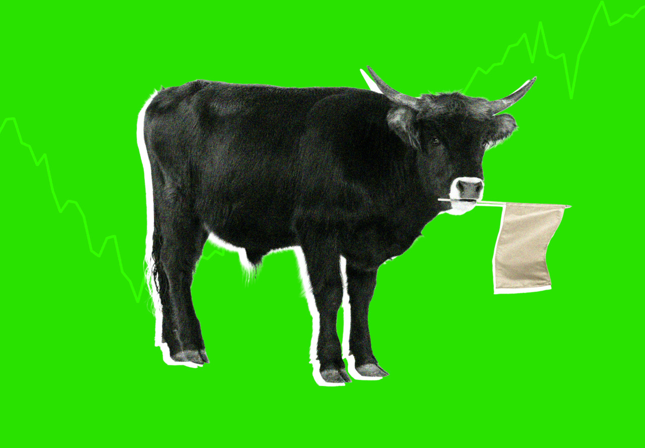 Even Wall Street bulls are worried about a stock-market pullback after dazzling second quarter