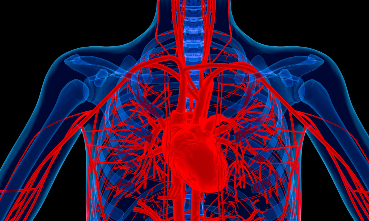 Lindsey Graham died from a rare heart condition. Here’s how to know if you’re at risk.