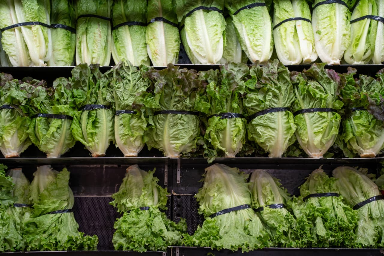 Cyclospora outbreak is linked to two deaths in Michigan as case counts continue to rise
