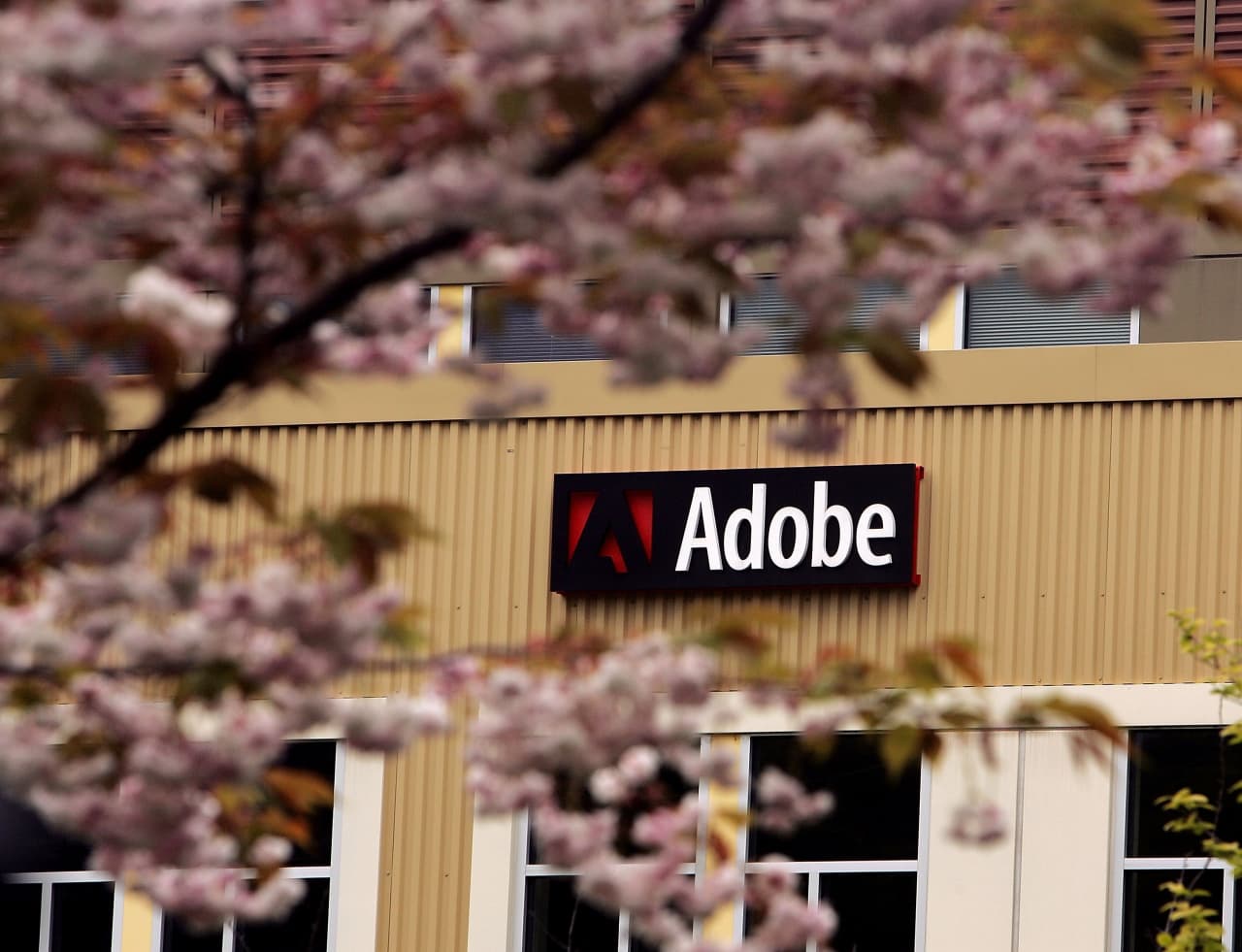 Adobe’s stock is temptingly cheap. Should investors bite?