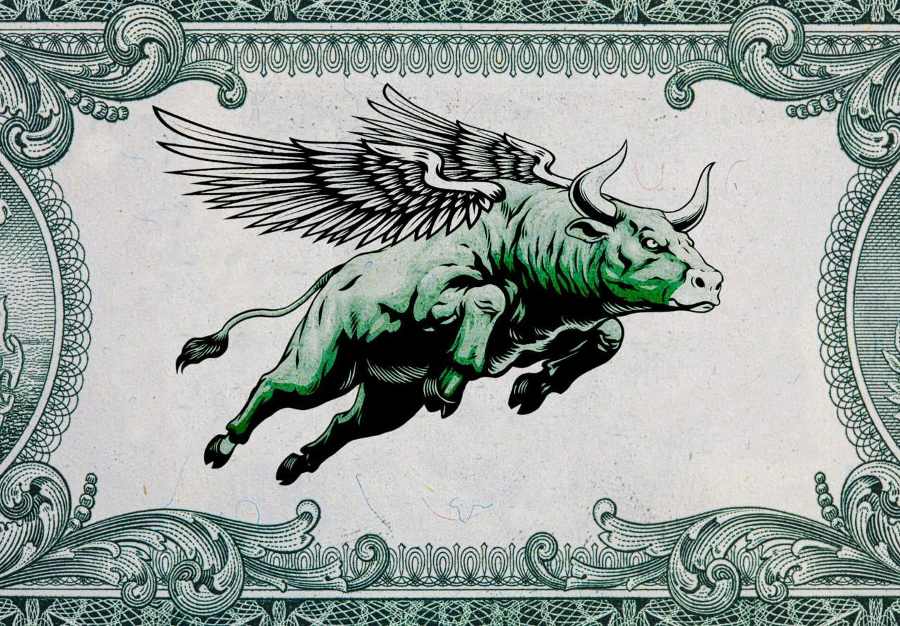 The U.S. stock market is becoming ‘too big to fail’