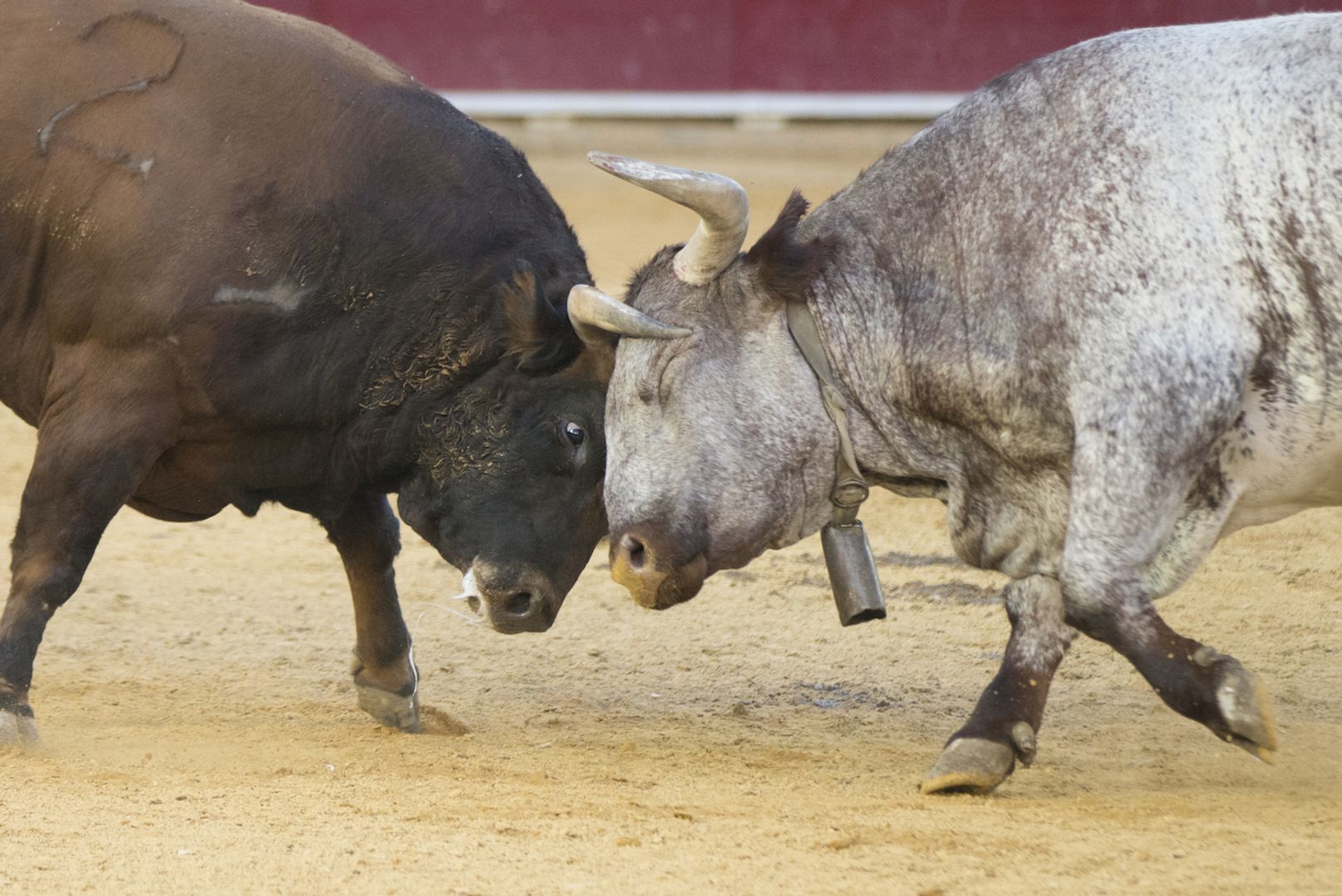 Bulls face a test unlike anything in bitcoin's 17-year history