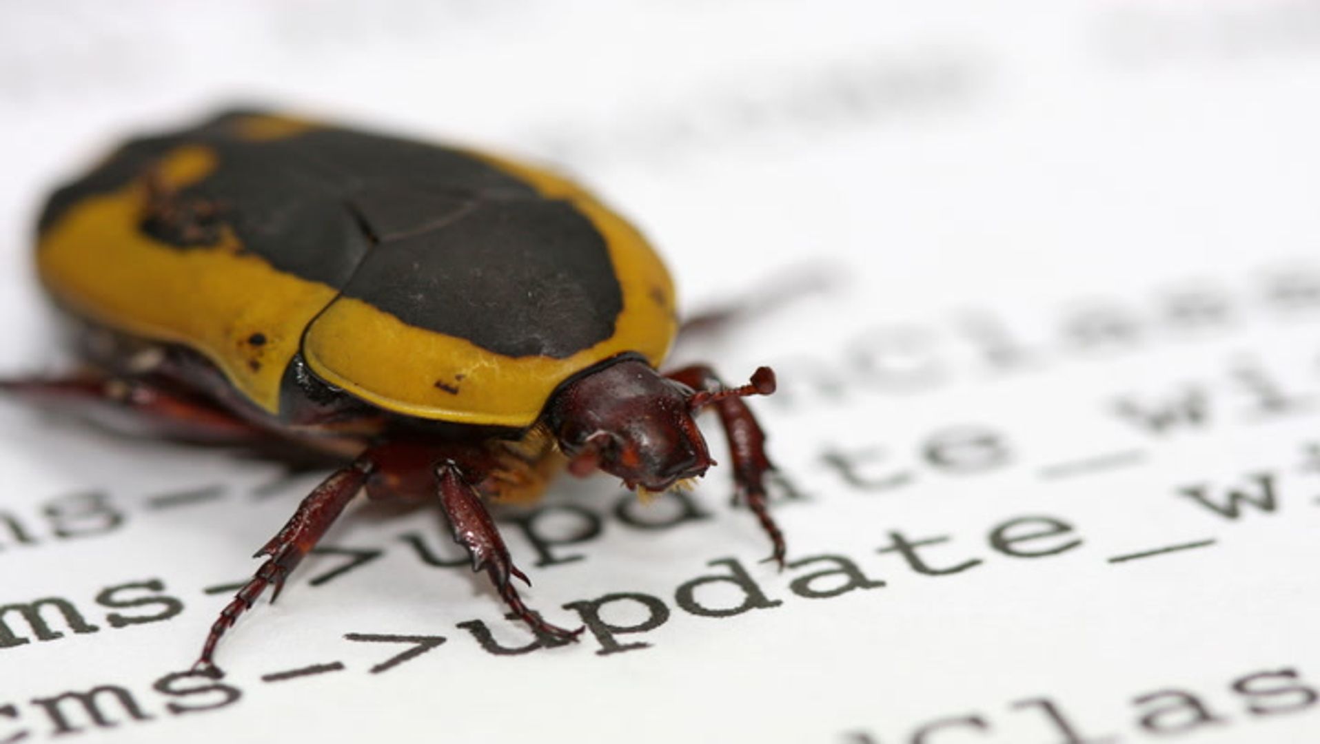AI found an Ethereum bug that could take validators offline, but humans had to prove it