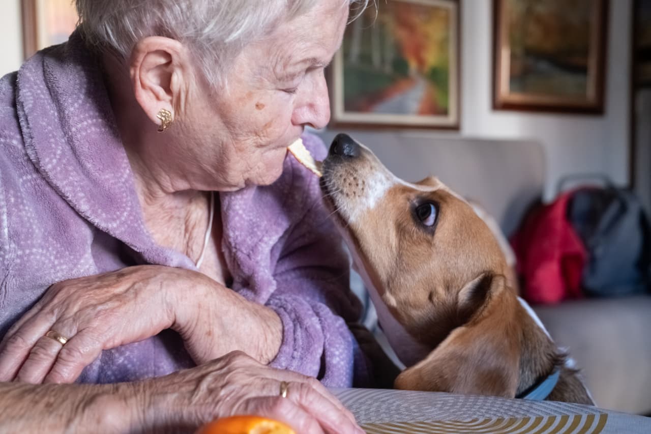 My elderly mother and I own a home together. Will Medicaid force its sale?