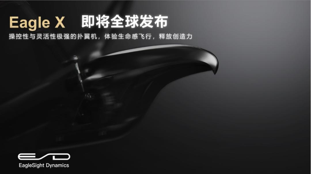 36氪首发 | 三个月融三轮，上交大00后博士让具身智能仿生扑翼机器人理解并驾驭流体