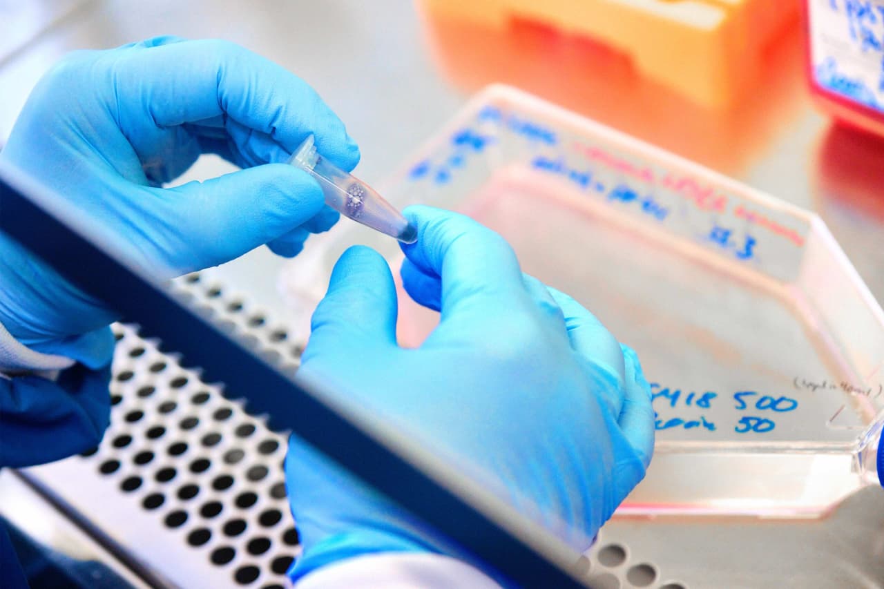 Investors are overlooking healthcare stocks and should consider these top picks, says JPMorgan